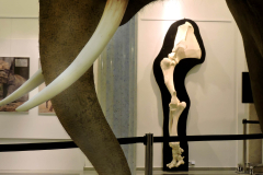 1320-7422-922-kly-a-kostra