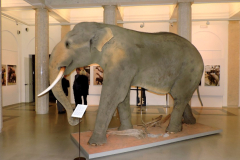 1329-7421-861-preparát